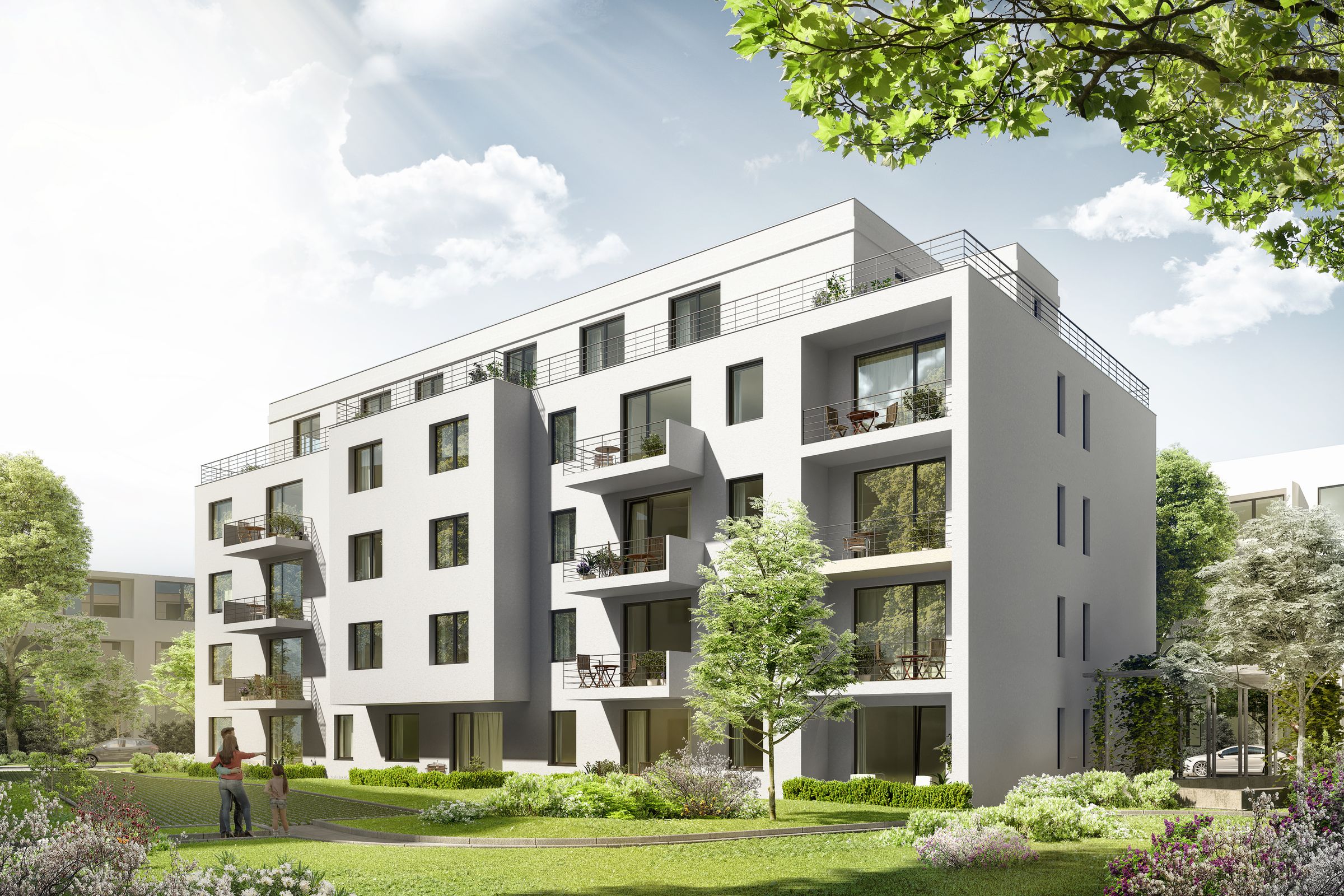 04_Hedera_Freiberger_Strasse_cam002_190517_003 04_Hedera_Freiberger_Strasse_cam002_190517_003