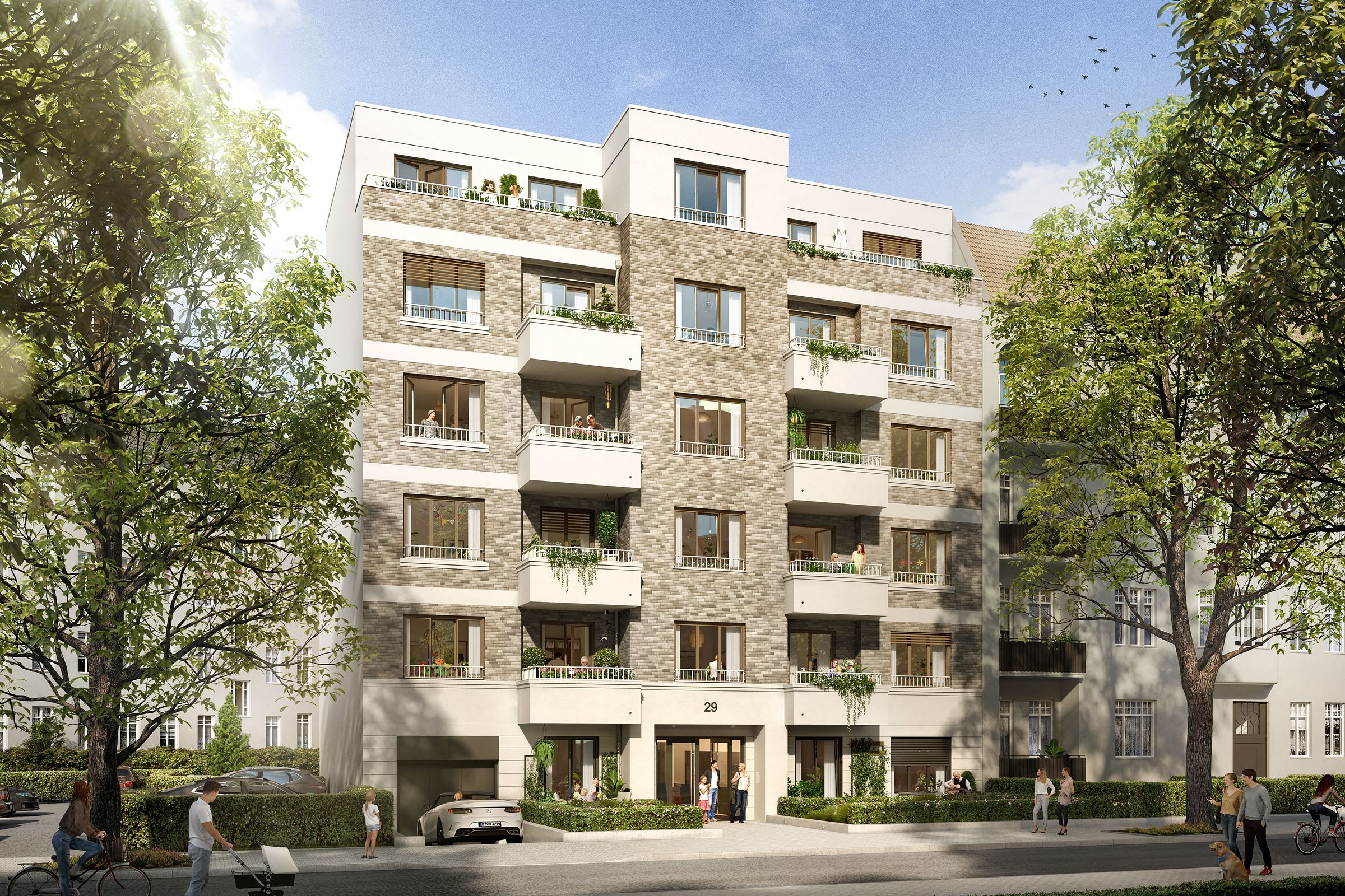 01_Hedera_Cranachstrasse_Strasse_001_211112_01 01_Hedera_Cranachstrasse_Strasse_001_211112_01